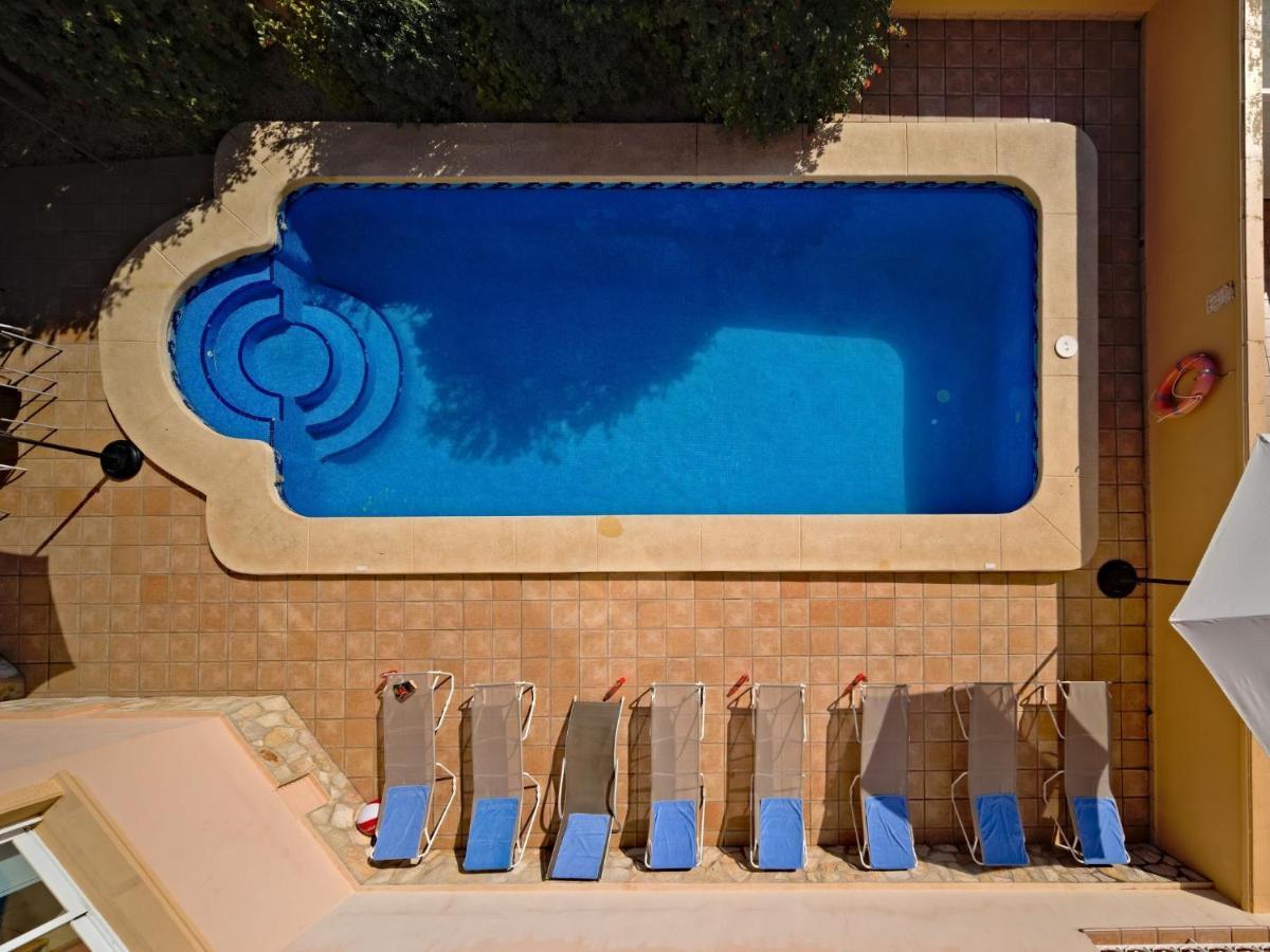 Liriopadel * Calpe